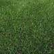 Césped Artificial Grass 20 mm